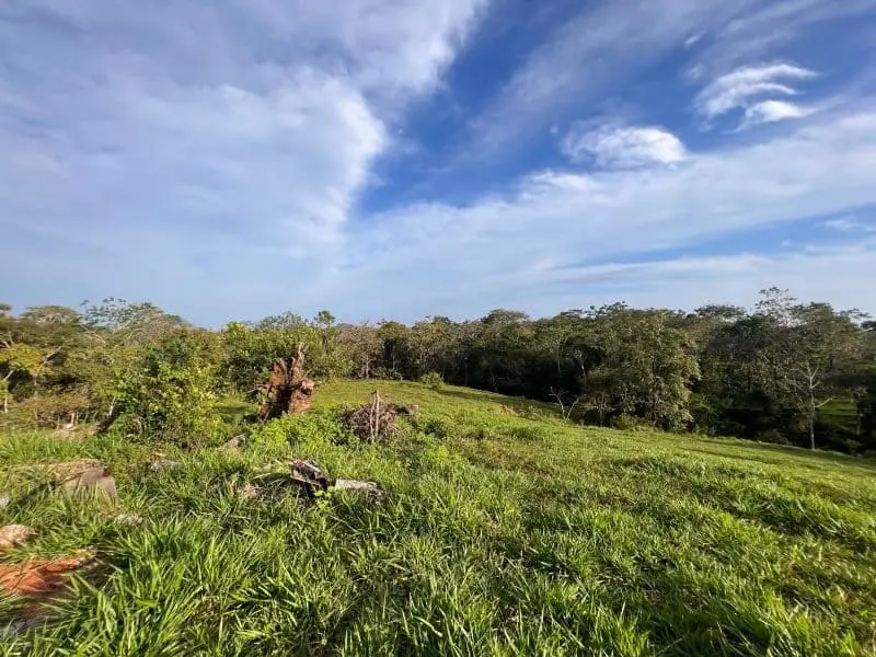Montezuma Scenic Lots photo 6